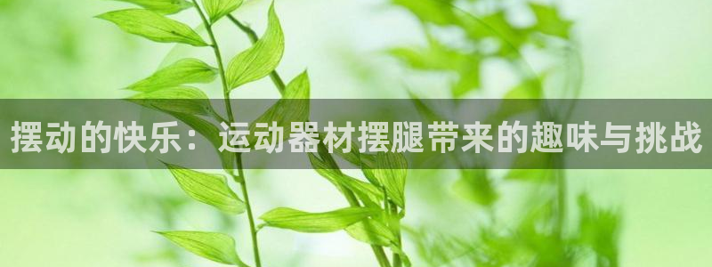 熊猫体育集团简介:摆动的快乐:运动器材摆腿带来的趣味与挑战